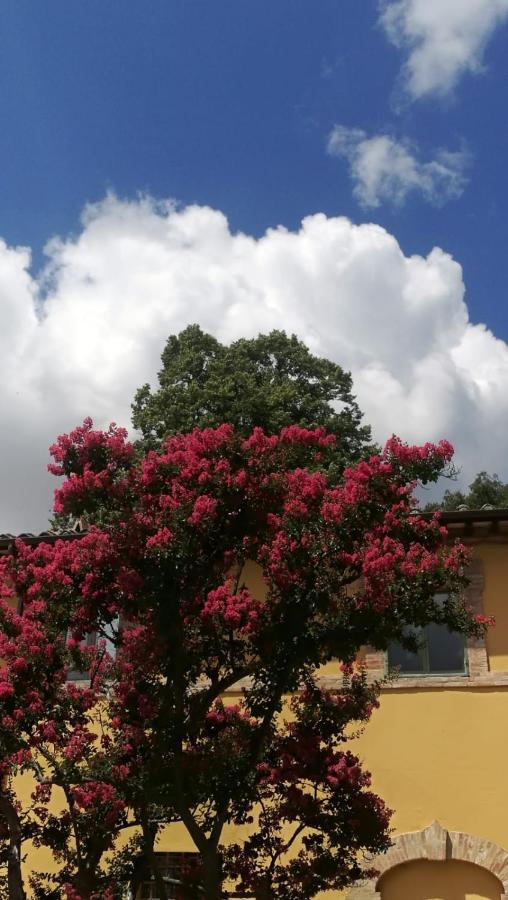 San Martinello Villa Perugia Bagian luar foto