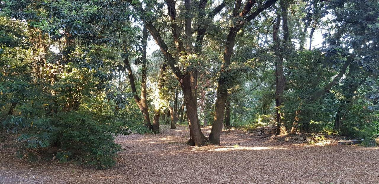 San Martinello Villa Perugia Bagian luar foto